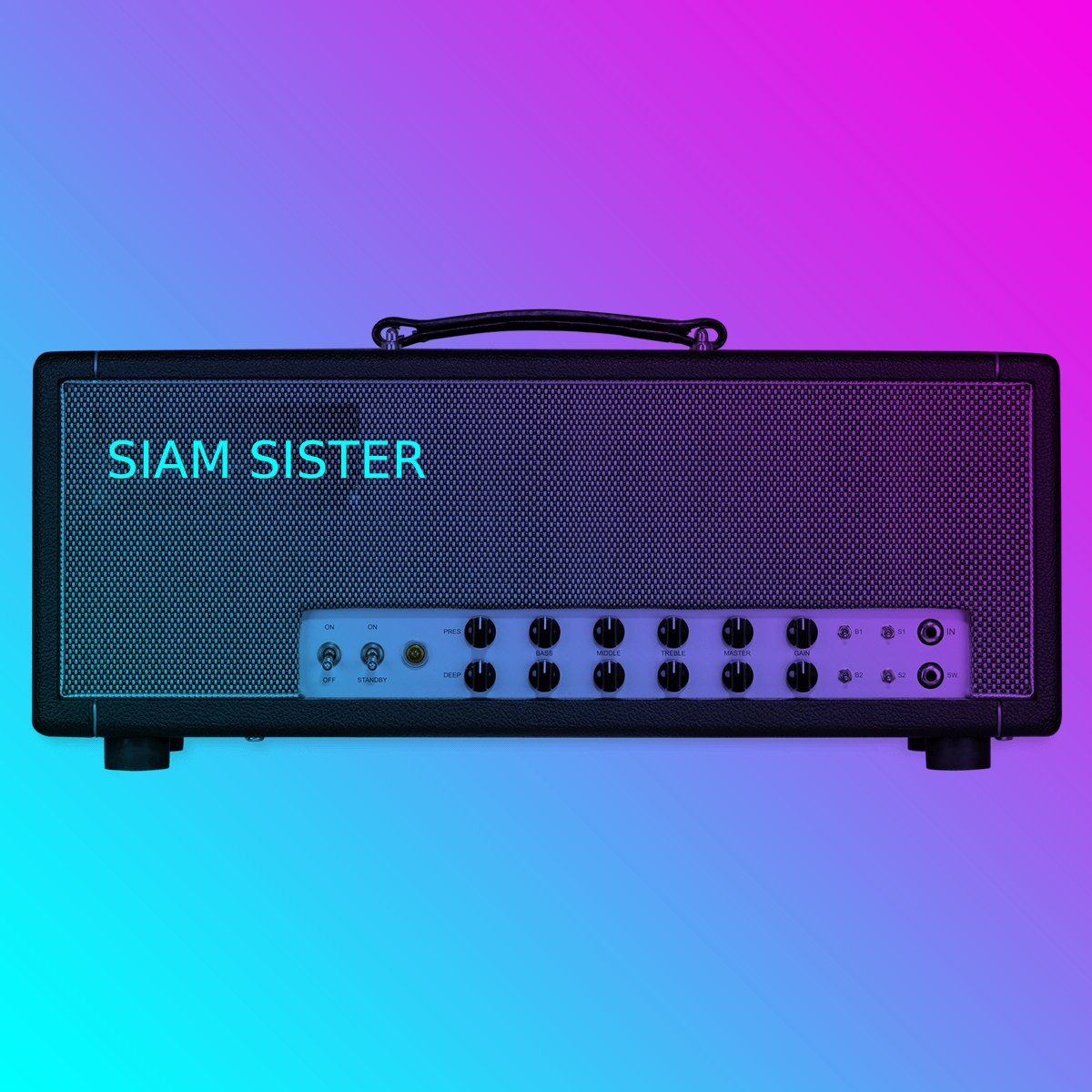 SIAM SISTER PACK.  BASED ON FRIEDMAN TWIN SISTER